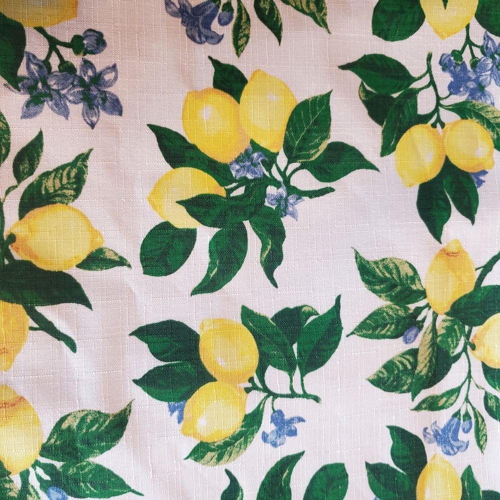 Home Collection Lemon Print Reversible Fabric Placemats Blue Set of 4 11x17 NEW